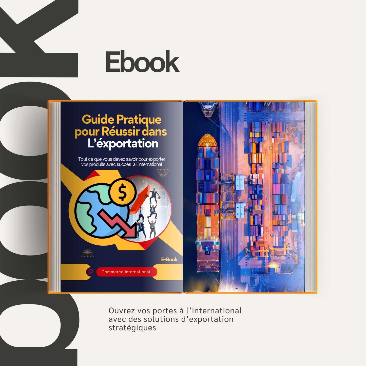 Exportation - Midi Apprentissage